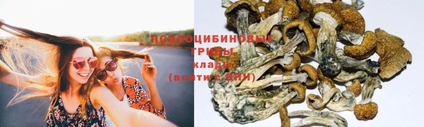 гидра Верхний Тагил