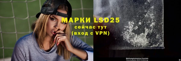 гидра Верхний Тагил