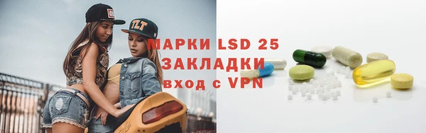 гидра Верхний Тагил