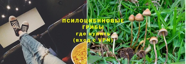 гидра Верхний Тагил