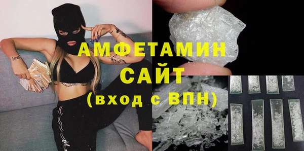 индика Богданович