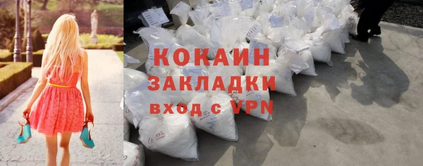 спиды Богородицк
