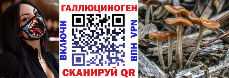 blacksprut вход Добрянка Псилоцибиновые грибы ЛСД
